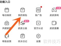 皮皮搞笑挂件使用指南