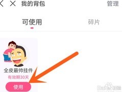 皮皮搞笑挂件使用指南