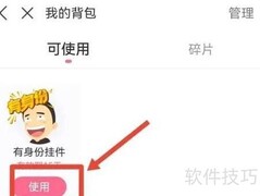 皮皮搞笑挂件使用指南