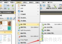 RTF转PDF及PDF添加RTF方法