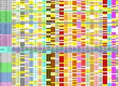 灵魂潮汐人偶礼物表更新