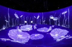 最专业的数字投影机是哪个品牌？巴可领跑工程投影可靠性榜单