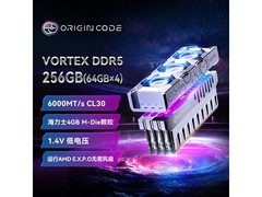 OC LAB 256G 炫光内存条活动立减！