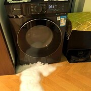 别胡乱信任桶自洁  老洗衣机这样清洗才最靠谱！