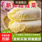 新鲜精品小包装娃娃菜，到手6.99元，满68减5！