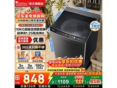 小天鹅TB100V26DT波轮洗衣机10kg