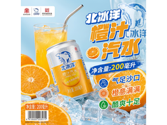北冰洋200ml橙汁汽水6罐试饮装，仅21.9元带回家！