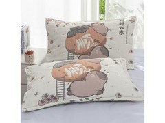 星寇云朵纱布泡芙枕巾2只装，柔软透气，现仅24.9元