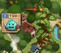 不思议迷宫世界彩蛋全收集