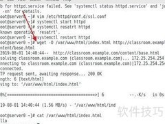 Linux搭建Web站点指南