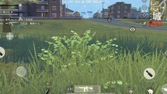 荒野行动新手生存指南