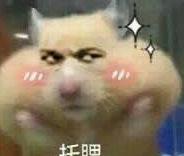 战就战：狼骑兵通关攻略