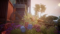 黎明觉醒：生机｜中部平原美景打卡