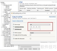 Bitvise搭建SSH服务器指南