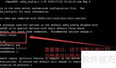 Linux配置与开启SSH指南