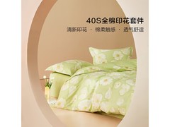 百丽丝水星家纺四件套139元