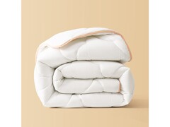 百丽丝秋冬加厚冬被，领券5折仅85元