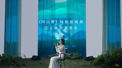 40种乐器、5种曲风！谭维维特别版《向山野》视频上线华为音乐