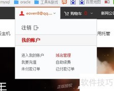 新网域名解析配置指南