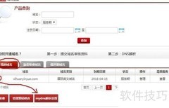 新网域名解析指南