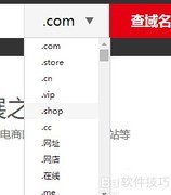 新网购买域名步骤指南