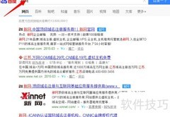 查看新网域名信息