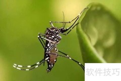 蚊子针断体内？立即就医处理