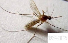 蚊子针断体内？立即就医处理