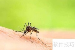 蚊子针断体内？立即就医处理