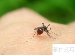 蚊子针断体内？立即就医处理