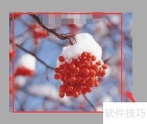 移除FotoBatch命令特效