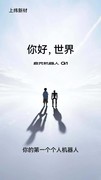 2026上半年人形机器人行业深度复盘