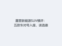 露营新能源SUV横评：五款车对号入座，该选谁