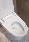 什么牌子的智能马桶好？四大热门品牌选购清单来了