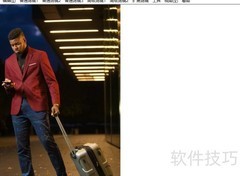 图片王精灵移色滤镜教程