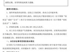 欣旺达子公司卷入23亿电池质量索赔案