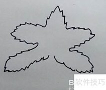 线描枫叶之美