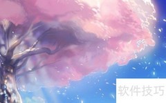 新枫之谷R区含义解析