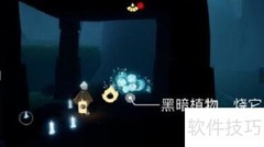 光遇2.28每日任务攻略