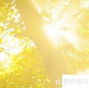 成为慧眼识才的伯乐