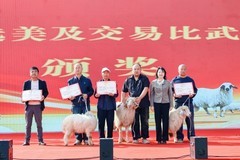 四省六地“开羊”收官！京东生鲜携手宁夏盐池，启动滩羊定养试点