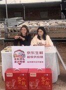 四省六地“开羊”收官！京东生鲜携手宁夏盐池，启动滩羊定养试点