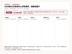 2026款30万商务接待轿车横评，谁最有面子