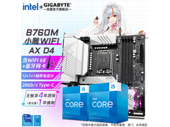 技嘉i5-14490F+B760M板U套装