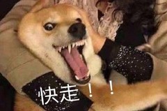 生存战争萌新手把手教学