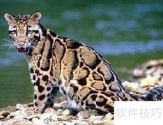 四川黄山旅游全攻略