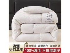 京东热销A类纯羊毛被69元抢