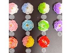 京东洛阳牡丹花冰箱贴，到手仅16.8元