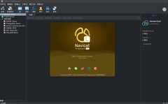 多数据库统一管理，零成本上手：Navicat Premium Lite 登陆鸿蒙电脑