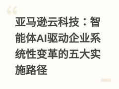 亚马逊云科技：智能体AI驱动企业系统性变革的五大实施路径